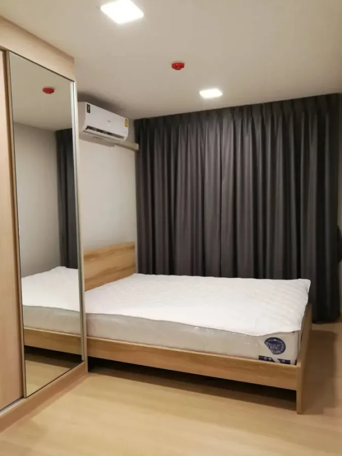 ให้เช่า Plum Condo Rangsit Alive 1 ชั้น 5 วิวสระ แต่งครบ น่าอยู่ จองเลย ด่วนๆ