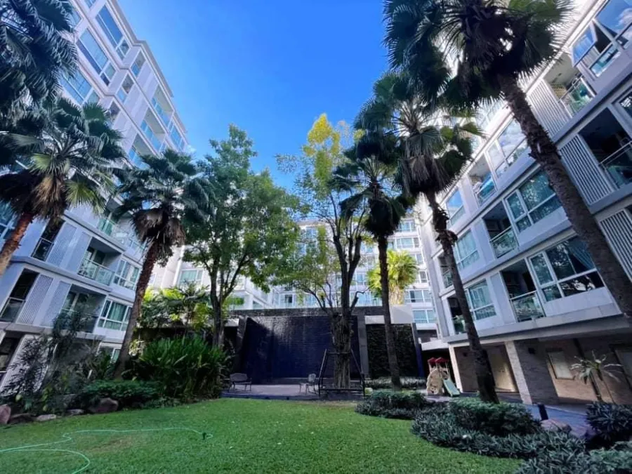 Condo for sale or rent, Mayfair Place Sukhumvit 64, decorated in gray tones. Built-in furniture, lovely, don't miss it.