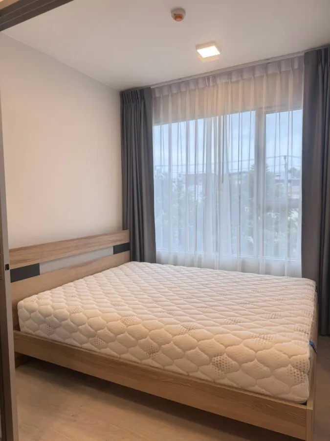 ให้เช่า Plum Condo สุขุมวิท 62 คอนโดพร้อมอยู่ ทำเลดี เดินทางสะดวก เฟอร์นิเจอร์และเครื่องใช้ไฟฟ้าครบ พร้อมเข้าอยู่