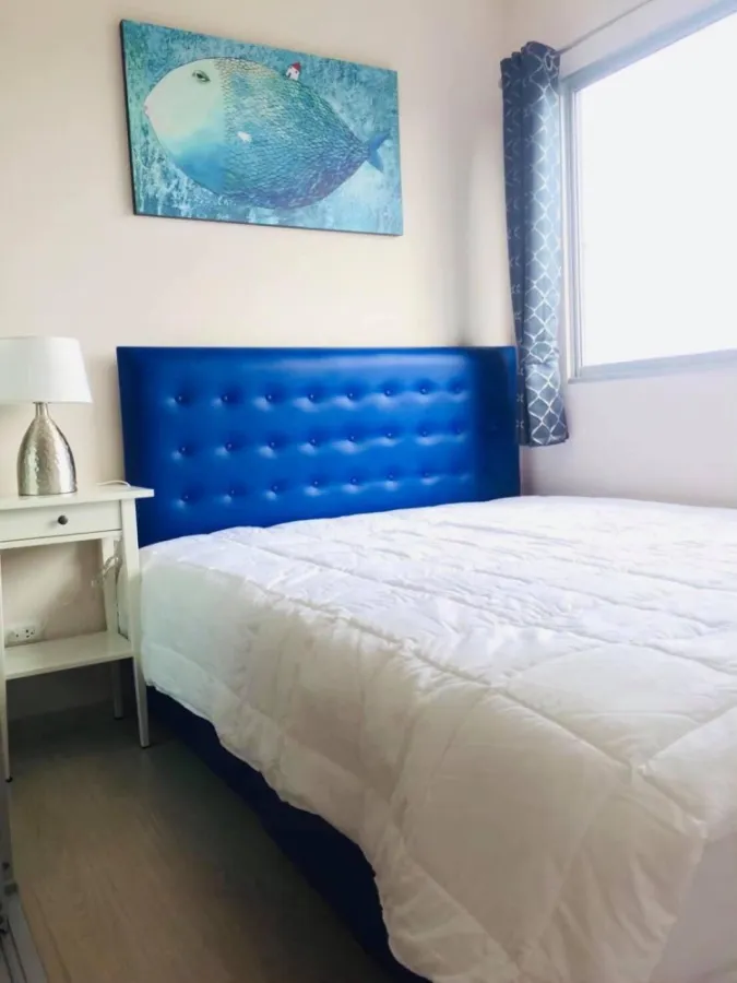 ปล่อยเช่า Plum Condo Park Rangsit เฟส3 ตึกA ชั้น6 วิวเห็นมอกรุงเทพ ห้องสวยพร้อมเข้าอยู่ จองด่วน
