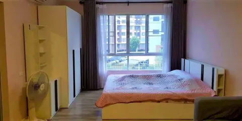 ให้เช่า dcondo Campus Resort Rangsit 2 เฟอร์นิเจอร์แน่ๆ พร้อมทีวีจอใหญ่จุใจสุดๆ ไม่จองเสียใจแทน