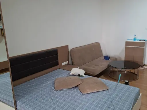 🏠🌃 Condo for Rent: Supalai Veranda Ratchada-Prachachuen 🏠🌃