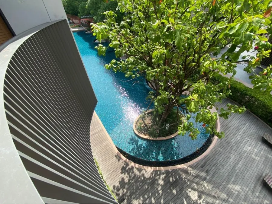 ขาย ให้เช่า Kawa Haus Onnut 77 ทิศเหนือ ชั้น 3 ได้วิวสวนสวยๆ พร้อมตกแต่งน่าอยู่ ไม่จองพลาดมาก