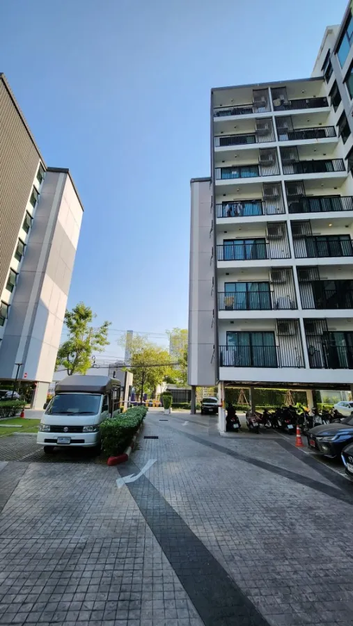 ให้เช่า คอนโดเดอะนิช โมโน สุขุมวิท 50 ตกแต่งครบ full furniture พร้อมเข้าอยู่ ห้ามพลาด จองเลย
