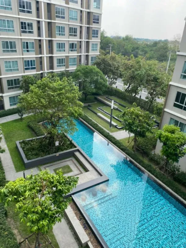 ปล่อยเช่า dcondo Campus Resort Rangsit 2 ตึก B ห้องมุม วิวสระว่ายน้ำ ราคานี้คุ้มมาก ไม่จองไม่ได้แล้ว