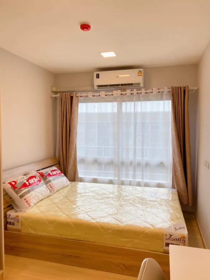 For rent, Plum Condo Rangsit Alive 1, 8th floor, cool, cool, lots of urgent