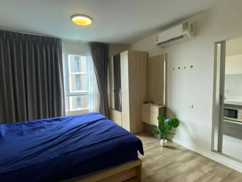 ปล่อยเช่า dcondo Campus Resort Rangsit 2 ตึก B ห้องมุม วิวสระว่ายน้ำ ราคานี้คุ้มมาก ไม่จองไม่ได้แล้ว