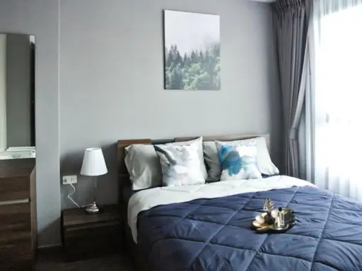 Condo for sale / rent, Ideo Sukhumvit 93, Building C, North, private garden view Slow