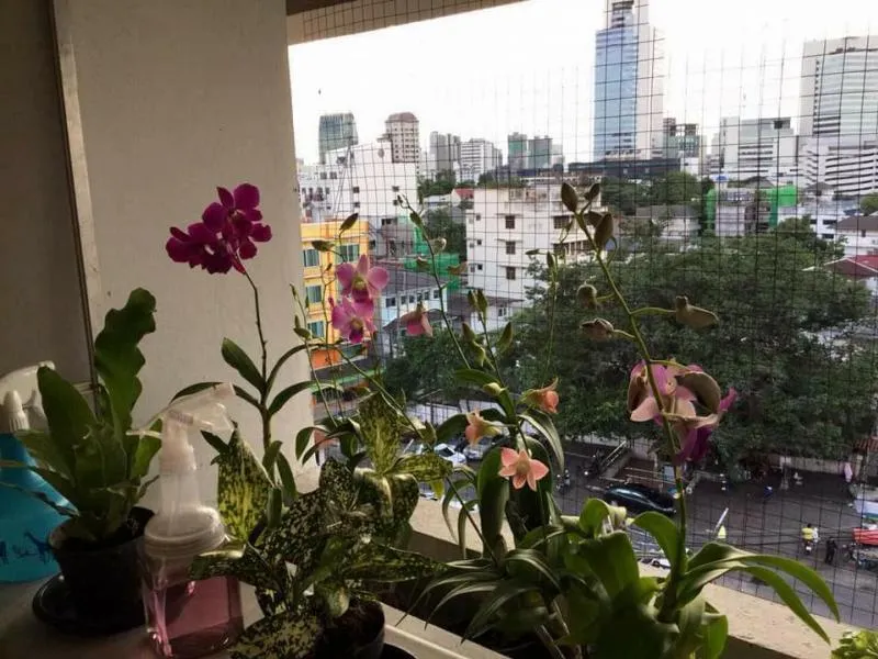 ว้าววว!! แต่งห้องสวยมาก สบายตาสุด น่าอยู่น่านอน ให้เช่าที่ Century park condominium มาเช่าเด้อ!!